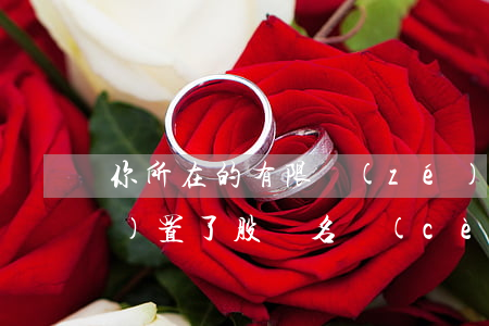 你所在的有限責(zé)任公司設(shè)置了股東名冊(cè)嗎？